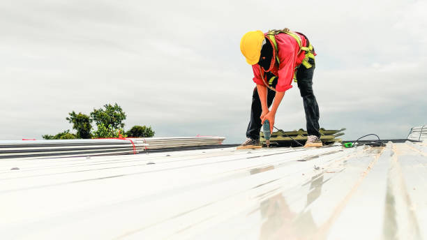 Best Roof Moss and Algae Removal  in Burt, MI