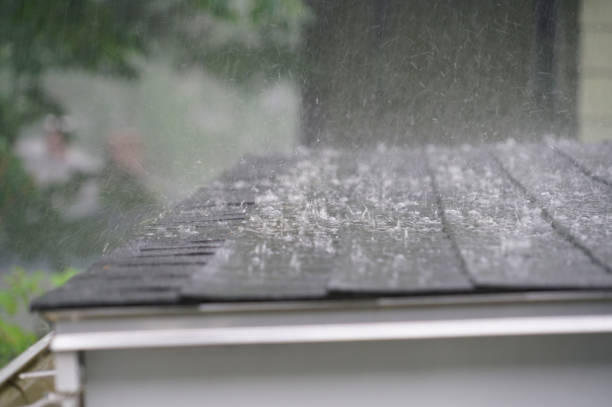 Best Asphalt Shingles Roofing  in Burt, MI