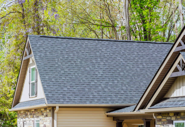 Best Solar Panel Roofing Installation  in Burt, MI